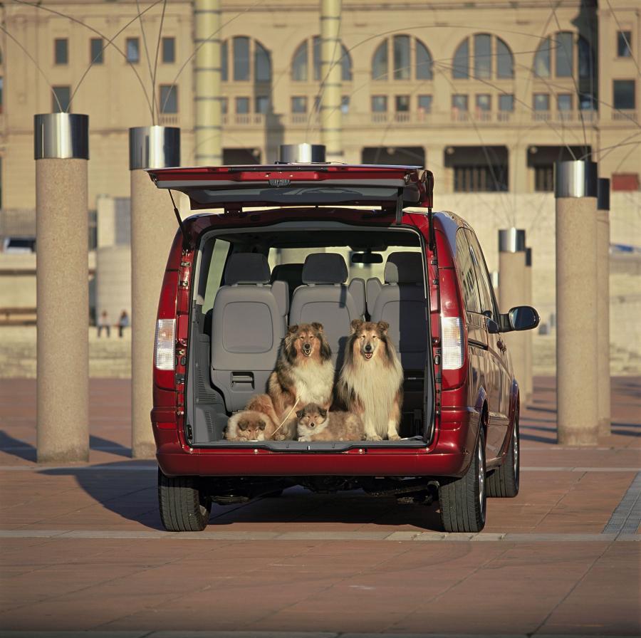 Mercedes-Benz Viano 2004 года  (фото 34 из 234)